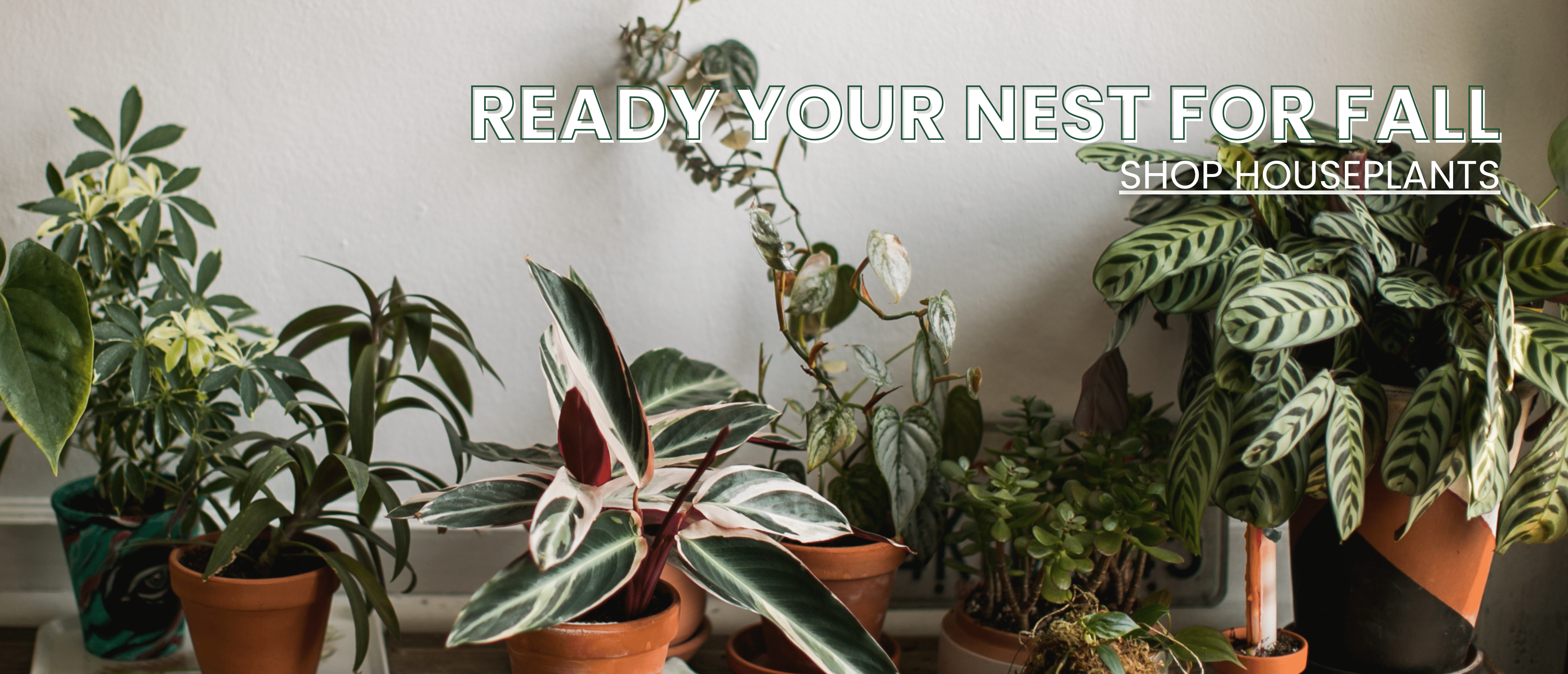 Ready Your Nest For Fall – interior home, arms holding lots of plants